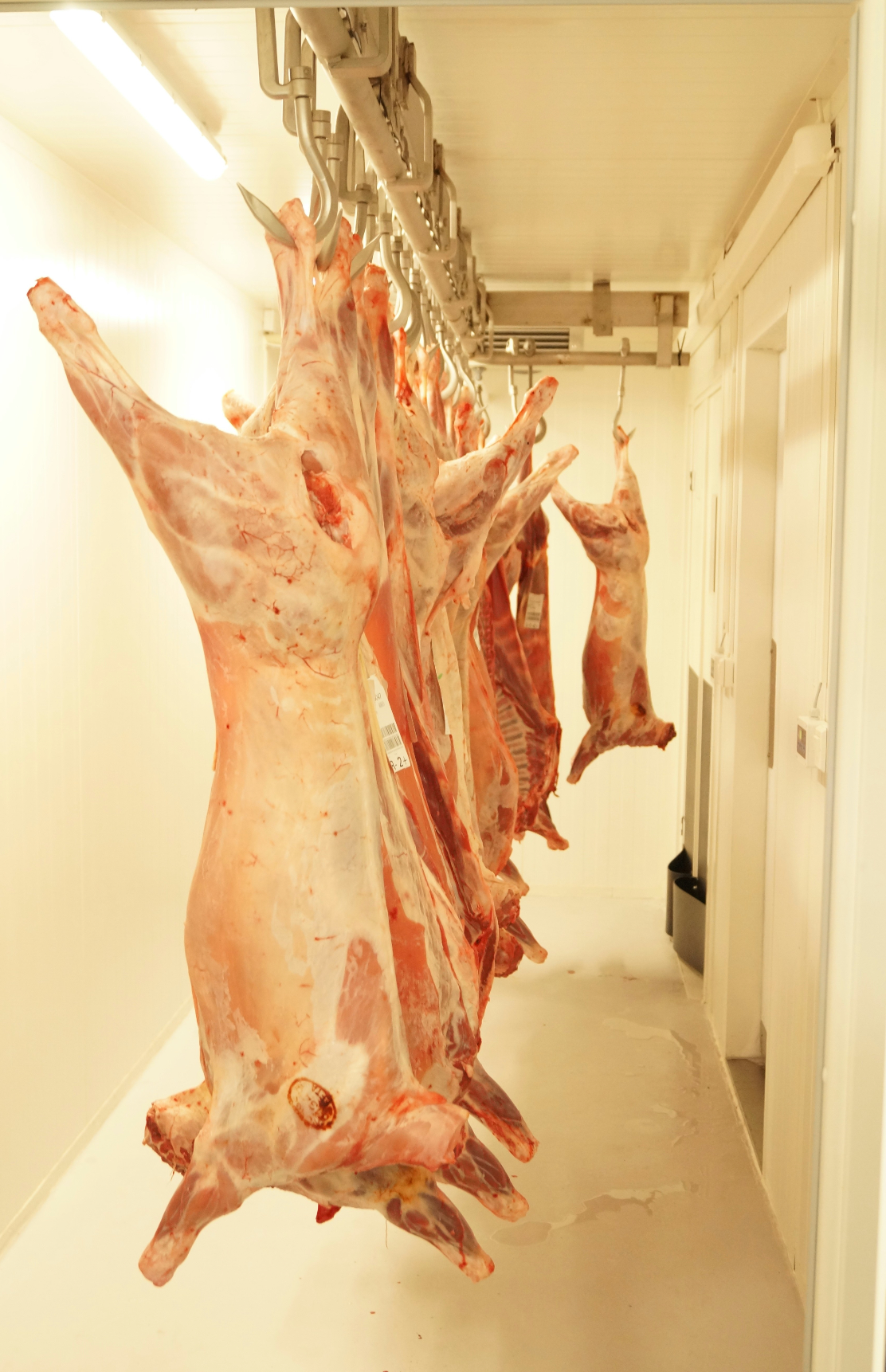 Custom Whole Beef Side 50% DEPOSIT UPFRONT